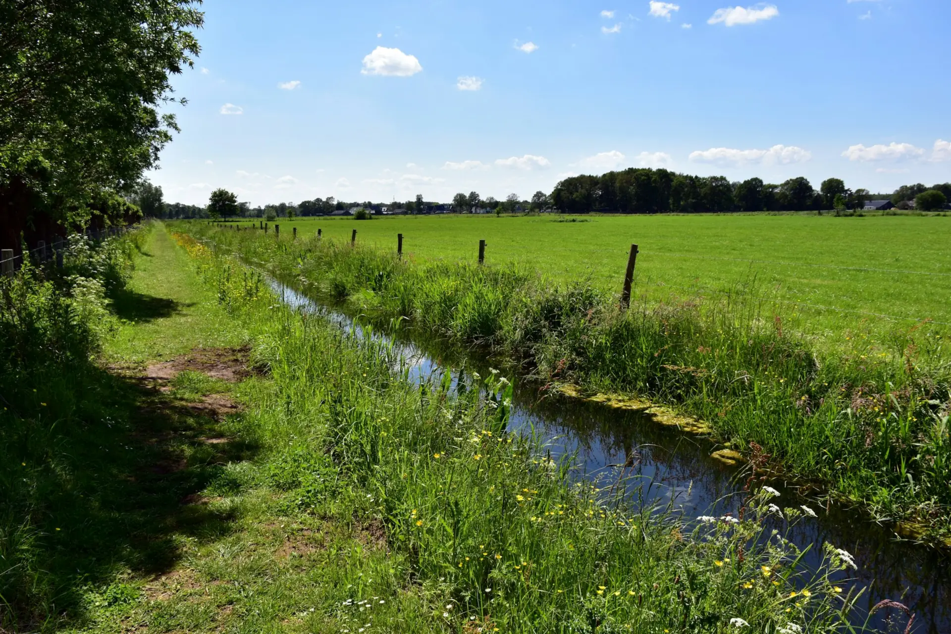 Polderlandschap met een dijk en een sloot onder een wolkenlucht